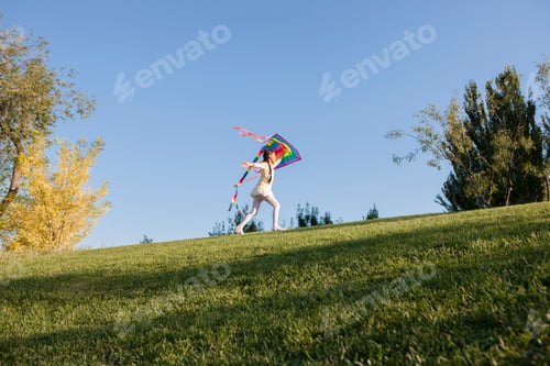 Preview: Cheerful little girl flying a kite in a park