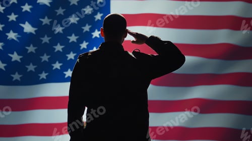 Preview: Silhouette of Person Saluting the American Flag
