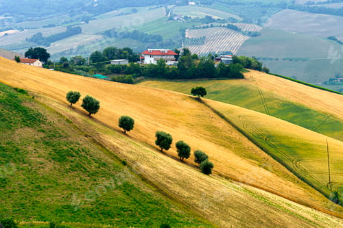 Preview: Country landscape near Ripatransone, Marche, Italy