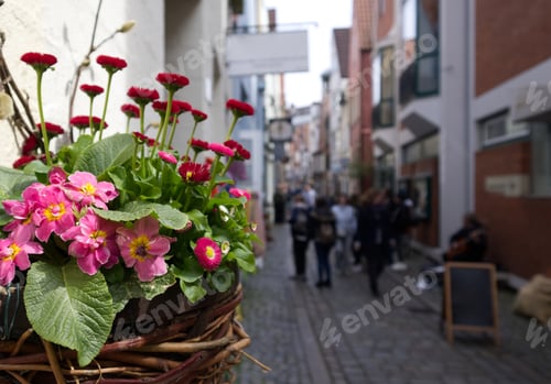 Preview: Red flowers in a wicker pot as a decoration of the city on a tourist street close-up