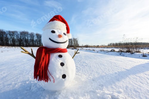 Preview: Funny snowman in red hat