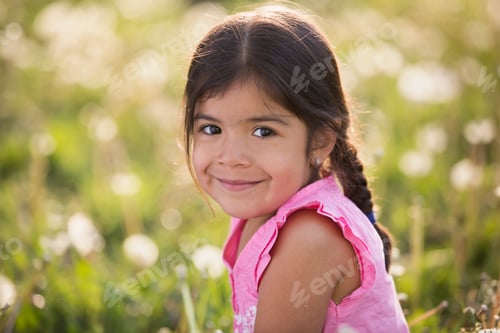 Preview: A young girl with brown hair and braids, in a wild flower meadow.