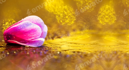 Preview: Pink flower greeting card background or web banner idea