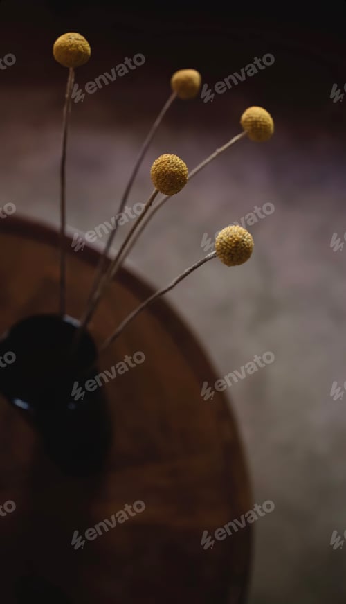 Yellow Pom Flowers in Dark Vase