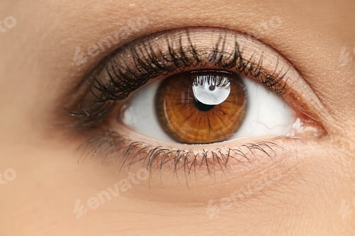 Preview: Young woman, closeup of eye. Visiting ophthalmologist