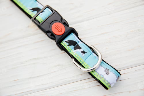 Preview: Stylish, bright and comfortable collar from pet shop for obedient dog, cat or other pets and domesti
