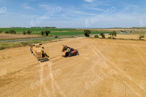 Preview: Agricultural Scene with Baled Hay in Rural Field