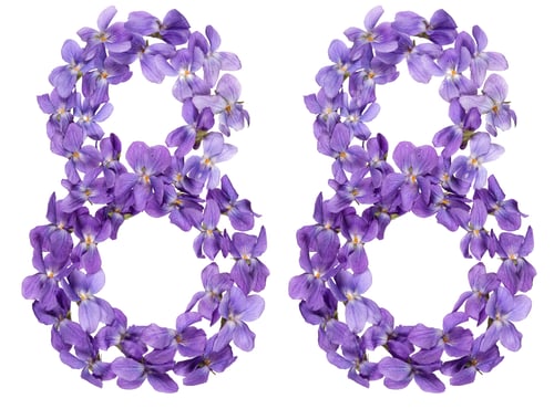 Preview: Arabic numeral 88, eighty eight, from flowers of viola, isolated on white background