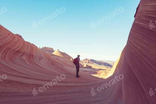 Preview: The Wave