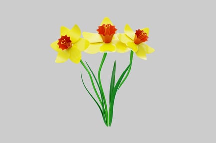 Preview: Spring daffodils yellow and orange