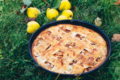 Preview: There is an home baking apple cake on the green grass.