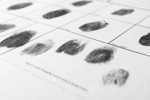 Preview: Police form with fingerprints, closeup. Forensic examination