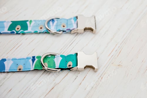 Preview: Dog Collar and Leash set. Pet Supplies and Walking Gear Collection