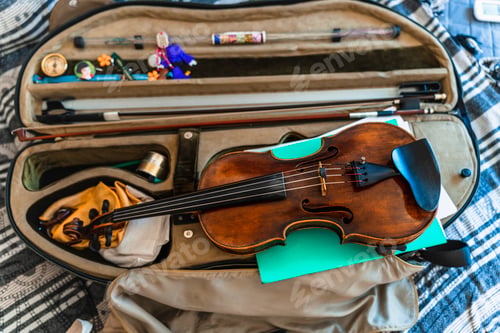 Preview: Soulful Expression: Professional Violin Creating Magic with an Ancient Cello