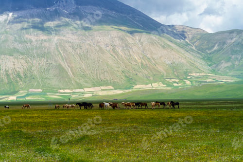 Preview: Piano Grande di Castelluccio, mountain and rural landscape