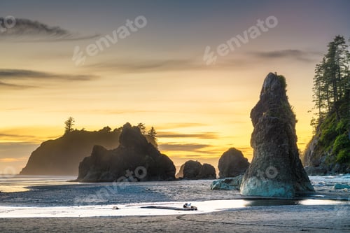 Preview: Olympic National Park, Washington, USA at Ruby Beach