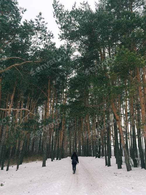 Preview: Winter