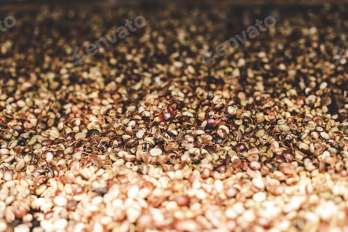 Preview: Washes process coffee with sunlight