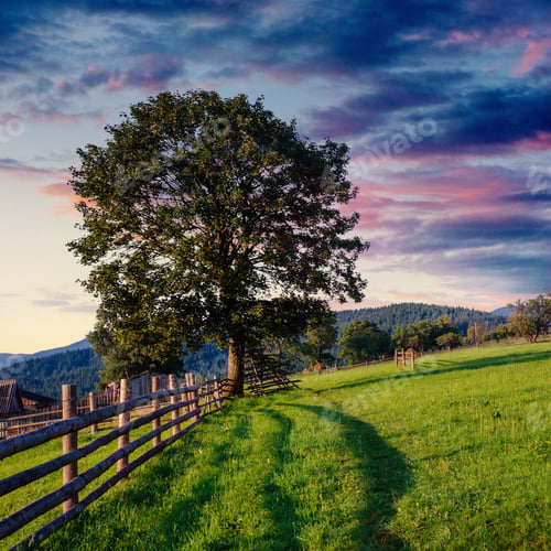 Preview: Alps mountain meadow tranquil summer view. Europe