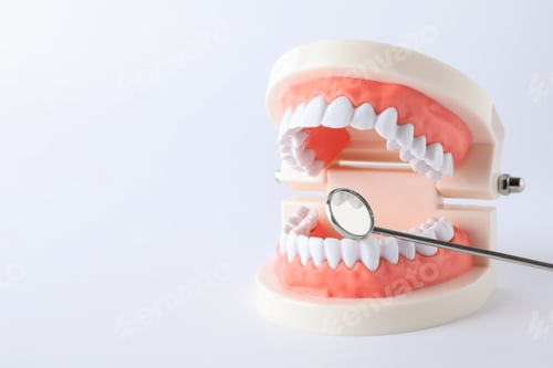 Preview: Typodont teeth and dentist mirror on white background. Space for text