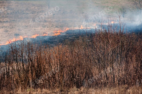 Preview: arson is a danger to all living things