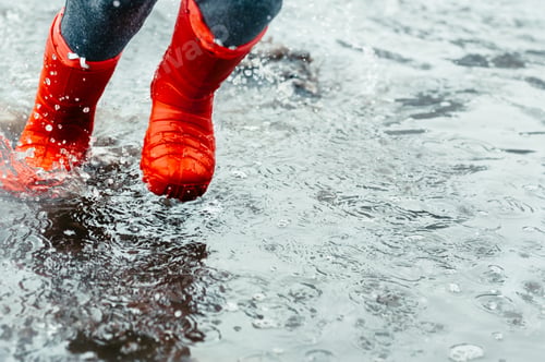 Preview: Rainy day