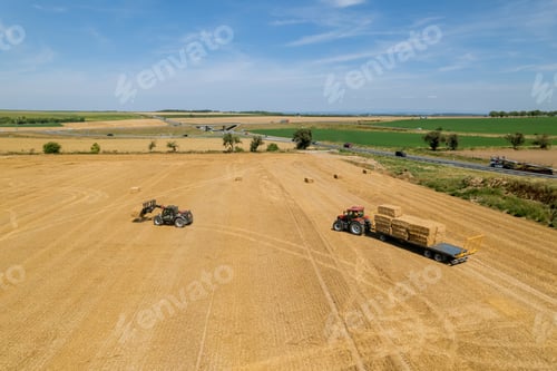 Preview: Farmers harvest straw from the fields to use as animal bedding.