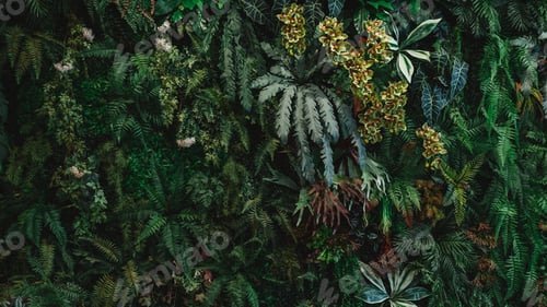 Preview: A background with an abstract design and a close-up texture of green leaves.