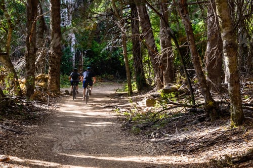 Preview: Young athletic people riding bikes in a park with foliage
