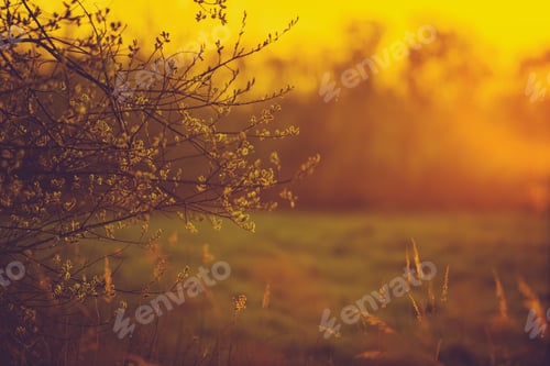 Preview: Warm Sunset Light Landscape