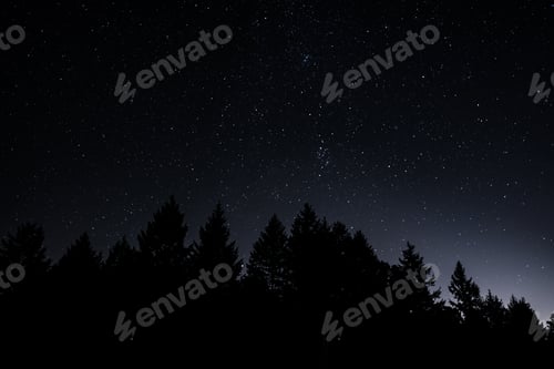 Preview: Beautiful silhouette shot of trees under a starry night sky