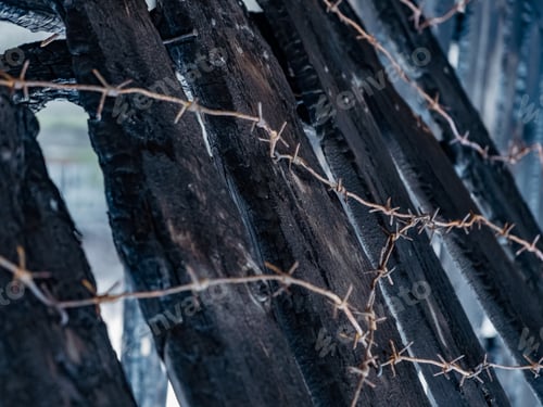 Preview: Burnt fence with barbed wire