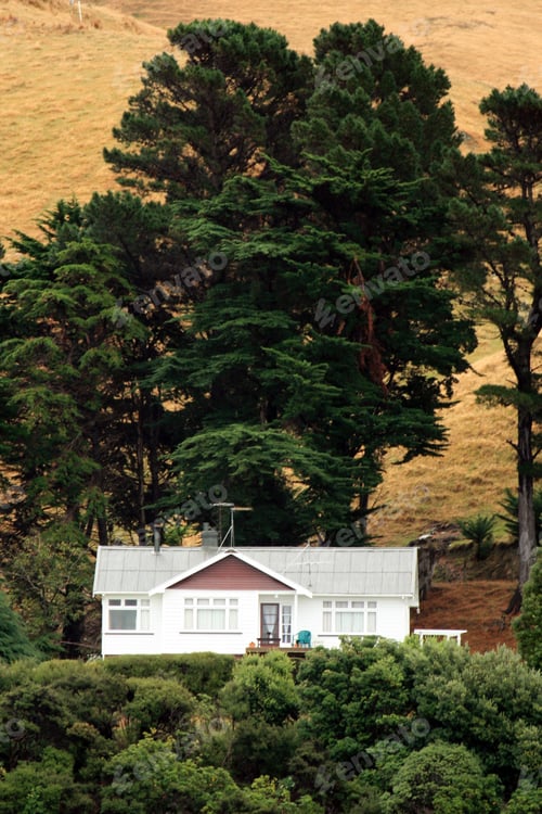Preview: Marlborough Sound, New Zealand