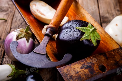 Preview: Eggplants are different. Vegetables.