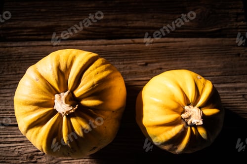 Preview: halloween pumpkins ready for carving