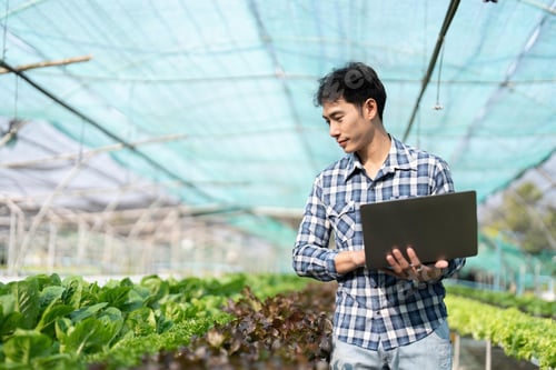 Preview: Young Asian farmer farmer record data in his farm, trying to collect and inspect the vegetables in