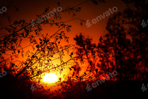 Preview: A fiery red sunset