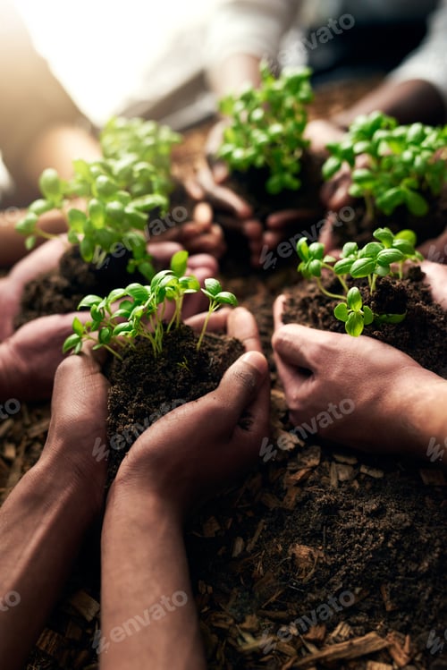 Preview: Dont jut survive, thrive. Cropped shot of a group of people holding plants growing out of soil.