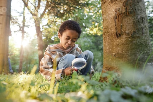 Preview: Boy Sitting on Grass in Wood