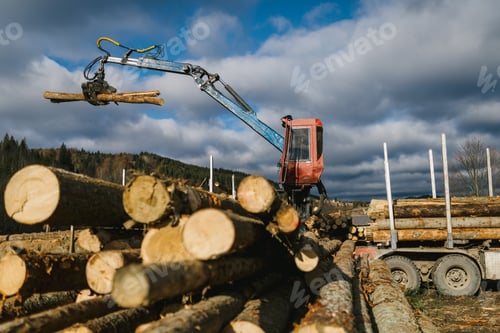 Preview: Crane loading wood into wood truck and the wood grapple holding logs in the air