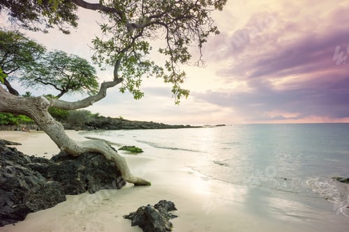 Preview: Hawaiian beach