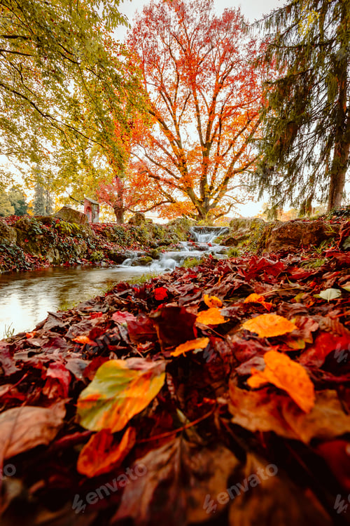 Preview: Long exposure of small waterfall covered with colorful leaves during autumn foliage