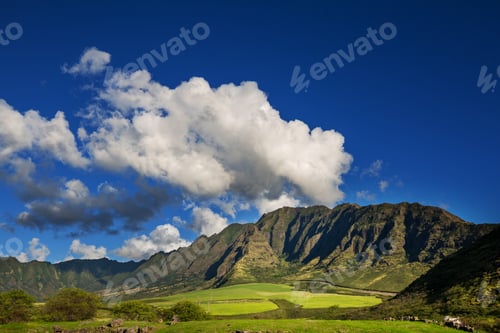 Preview: Oahu