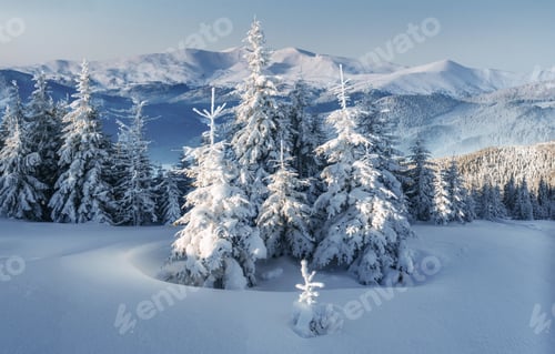 Preview: Majestic landscape with forest at winter time. Scenery background