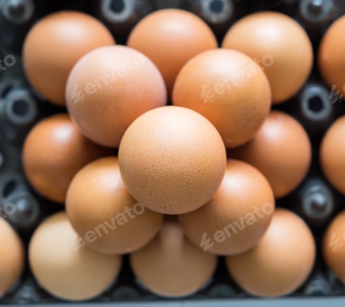 Preview: Egg tray black plastic stack