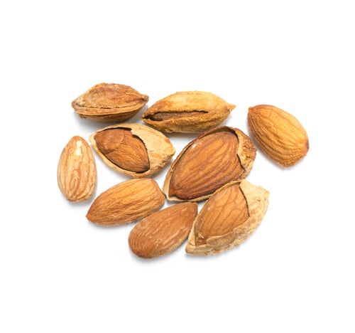 Preview: Fresh Almonds with and without Shells on White