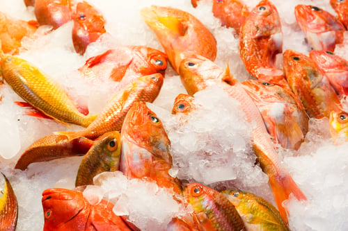 Preview: Fresh fish in market