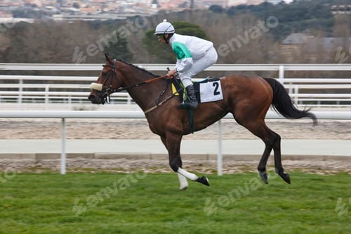 Preview: Horse race warm up. Competition sport. Hippodrome. Winner. Speed background