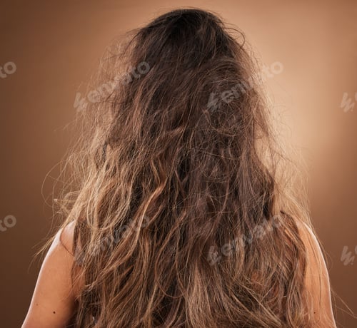Preview: Back, hair and frizzy with a woman in studio on a brown background for haircare or salon treatment.