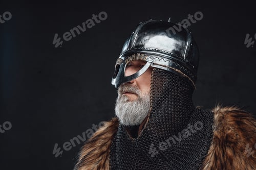 Preview: Old crusader dressed in armor and fur